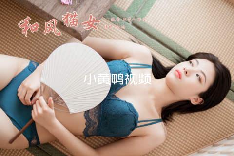 小黄鸭视频